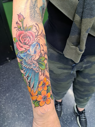 Explore dolphin tattoo ideas, creative tattoo ideas in Newark, available at Dark Woods Tattoo Studio