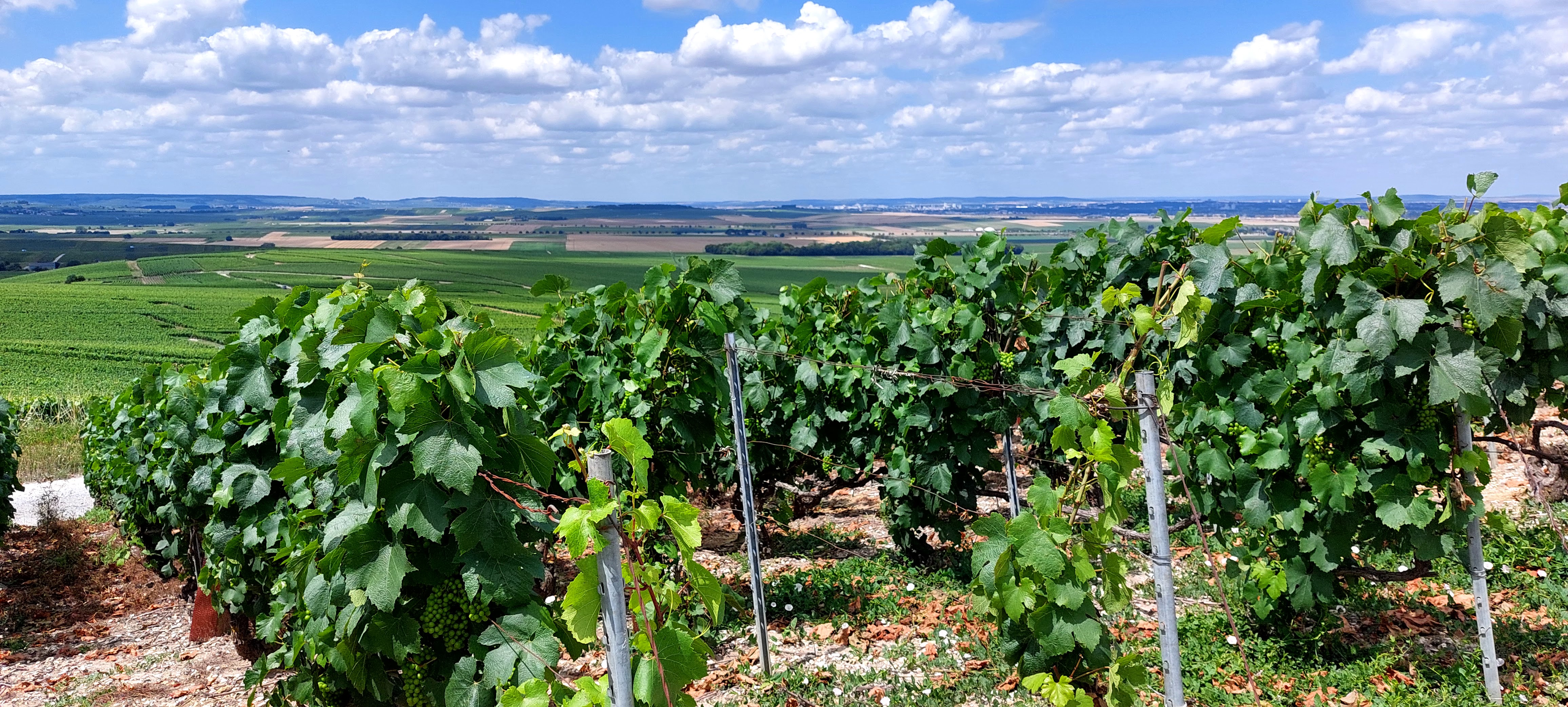 Photo n° 3 de l'avis de Le.a fait le 12/07/2023 à 11:02