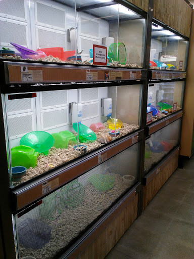 Pet Supply Store «Petco Animal Supplies», reviews and photos, 190 Quality Dr, Hooksett, NH 03106, USA