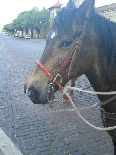 Tourist Attraction «Stockyards Championship Rodeo», reviews and photos, 121 E Exchange Ave, Fort Worth, TX 76164, USA