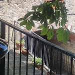 Photo n°1 de l'avis de Nicola.o fait le 06/08/2019 à 18:54 sur le  Buca Di Michelangelo à Caprese Michelangelo