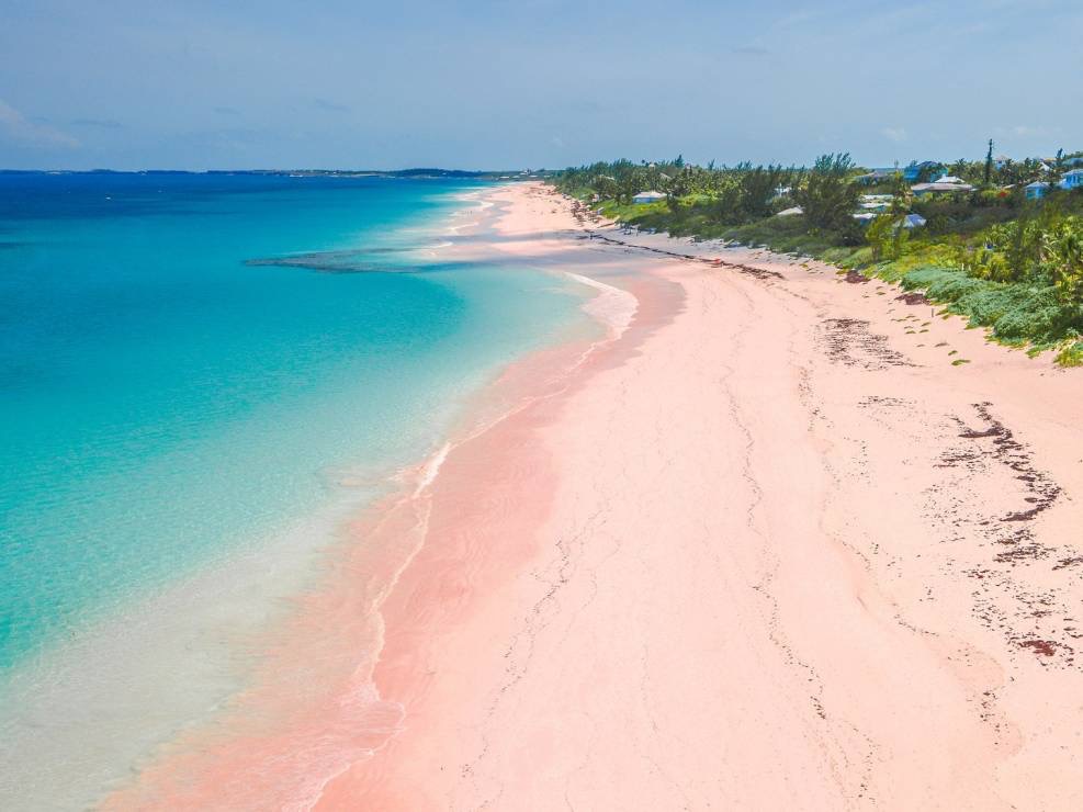 Pink sands beach photo #8