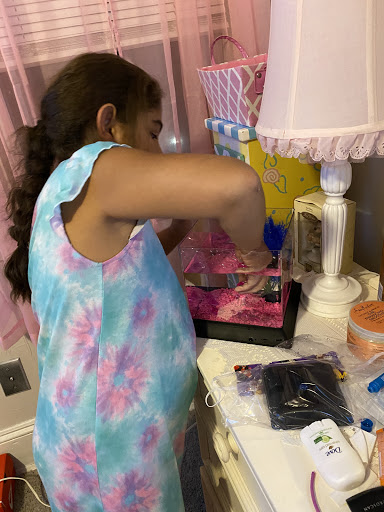 Pet Supply Store «Petco Animal Supplies», reviews and photos, 473 State Rd, North Dartmouth, MA 02747, USA