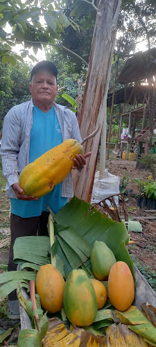 C. Marcos Quintana, Quevedo, Ecuador