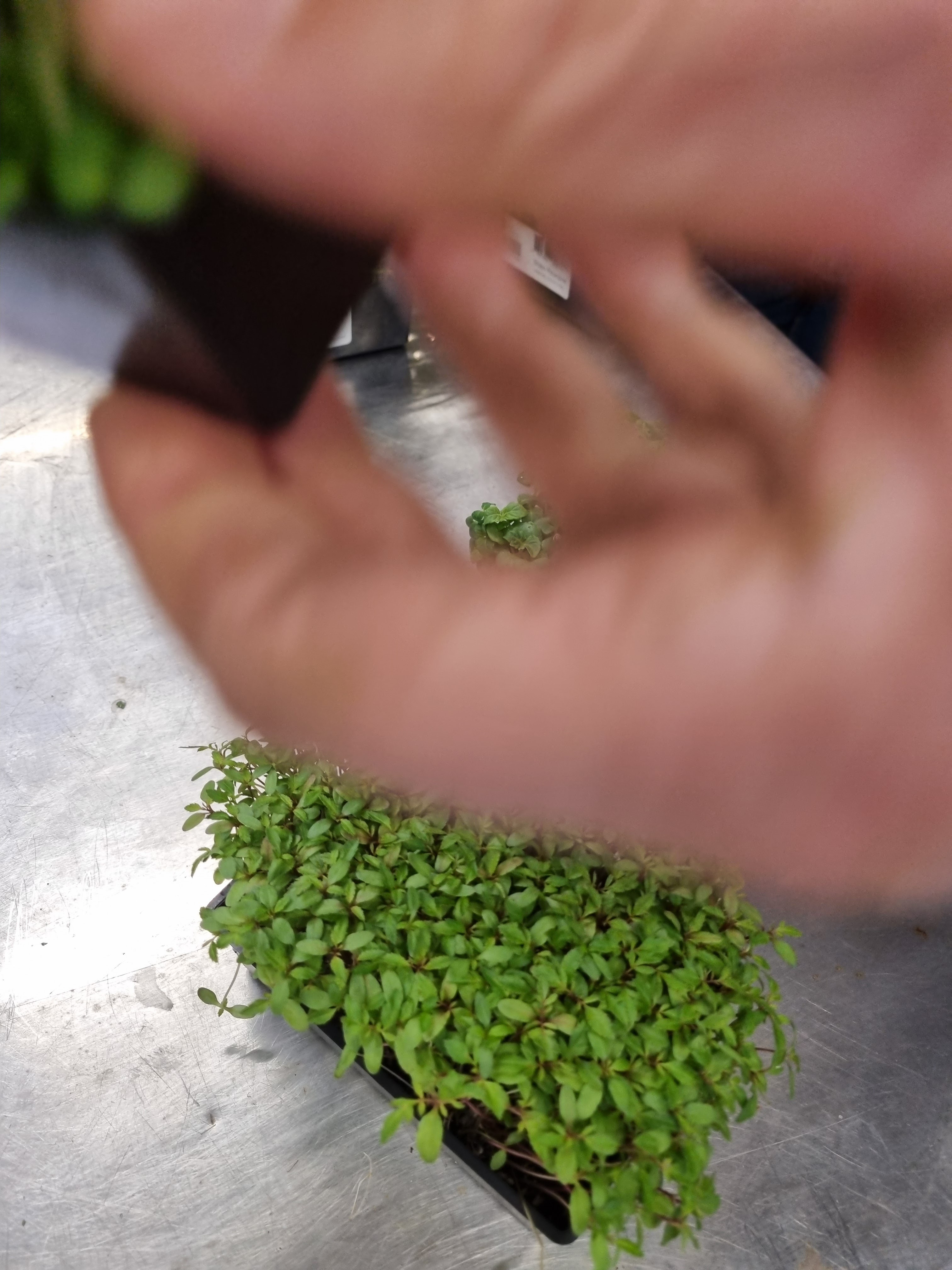 Photo n° 5 de l'avis de Yan.e fait le 23/04/2024 à 03:40