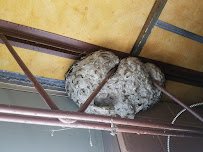 Milltown Pest Control LLC - Photo 8 - Car repair in , Manchester
