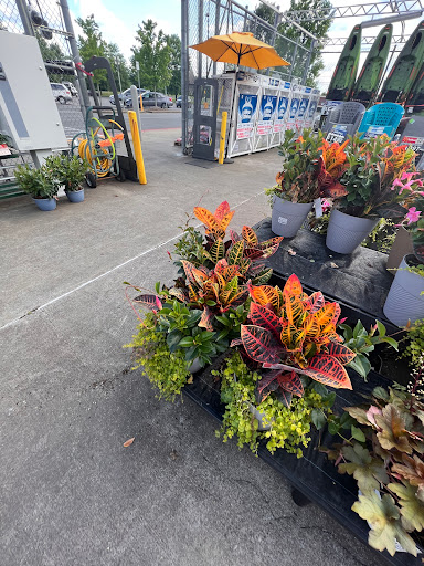 Department Store «Walmart Supercenter», reviews and photos, 1112 Nashville Pike, Gallatin, TN 37066, USA