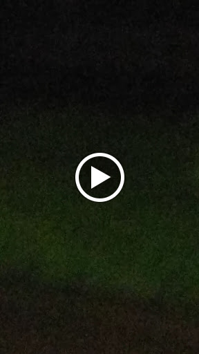 Dollar Store «FAMILY DOLLAR», reviews and photos, 725 E 2nd St, Muscatine, IA 52761, USA