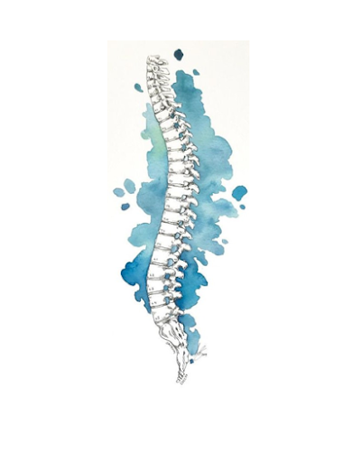 Cabinet Chiropratique - Léa Bracquemont - Blois