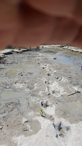 Gift Shop «Dinosaur Valley State Park Store», reviews and photos, 1629 Park Rd 59, Glen Rose, TX 76043, USA