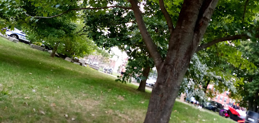 Park «Harambee Park», reviews and photos, 930 Blue Hill Avenue, Boston, MA 02124, USA