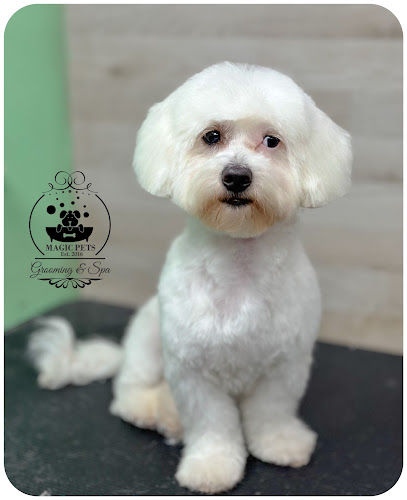 Magic Pets Iasi - Coafor Canin/Grooming Salon