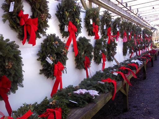 Garden Center «Nalls Produce», reviews and photos, 7310 Beulah St, Alexandria, VA 22315, USA