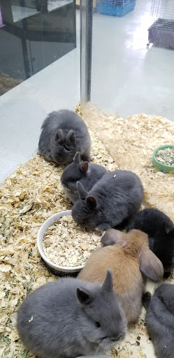 Pet Store «Inland Reef Pet Store», reviews and photos, 817 Cross Lanes Dr, Cross Lanes, WV 25313, USA