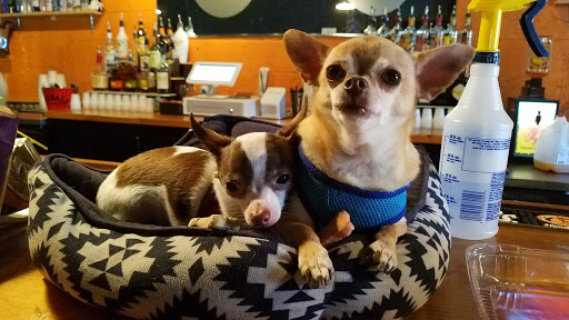 Dog Bar - Charlotte