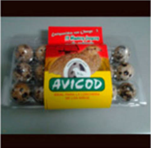 AVICOD - Santiago de Surco