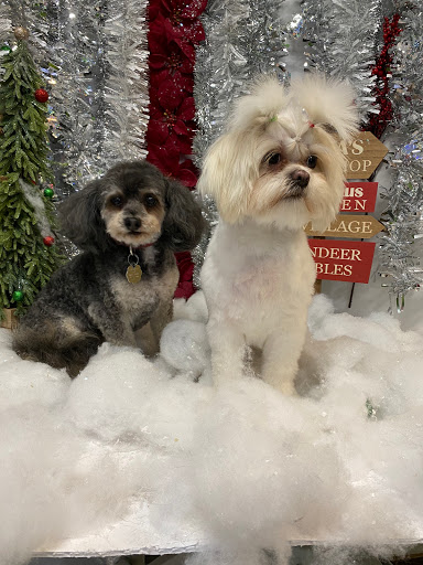 Pet Store «Healthy Pets Mountain West», reviews and photos, 2352 Fort Union Blvd, Cottonwood Heights, UT 84121, USA