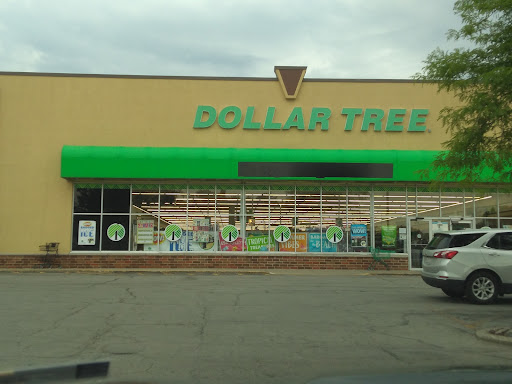 Dollar Store «Dollar Tree», reviews and photos, 3341 W 115th St, Merrionette Park, IL 60803, USA