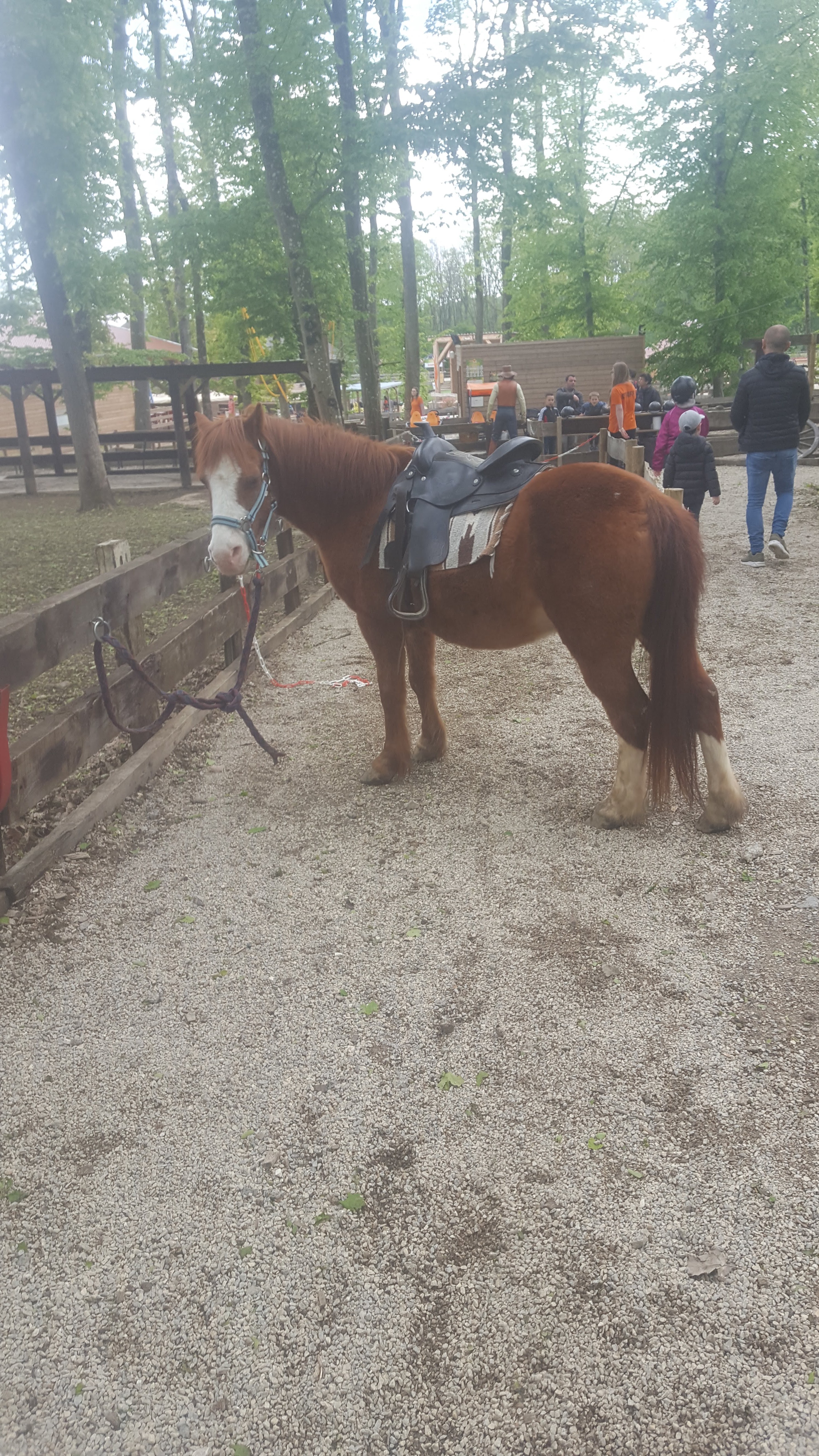 Photo n° 1 de l'avis de E. fait le 01/05/2018 à 17:25