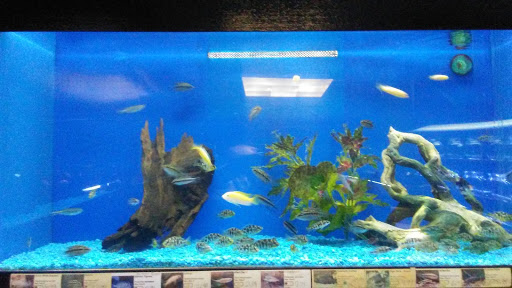 Pet Store «Pet Cove», reviews and photos, 820 E Center St, Kingsport, TN 37660, USA