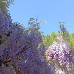 Photo n°1 de l'avis de Mascia. fait le 10/04/2023 à 13:02 sur le  Ristorante Arquebuse à Forlì