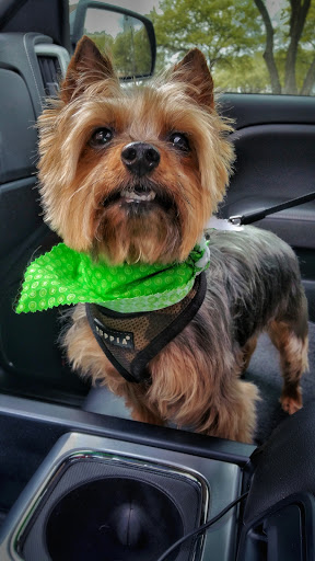 Pet Supply Store «Odyssey Pets», reviews and photos, 14999 Preston Rd #400a, Dallas, TX 75254, USA