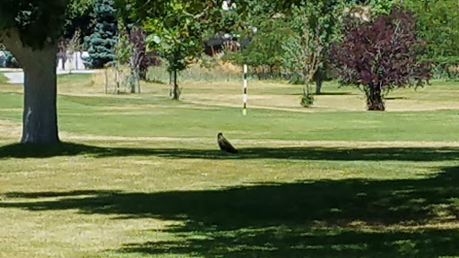 Golf Course «Oquirrh Hills Golf Course», reviews and photos, 1255 E Vine St, Tooele, UT 84074, USA
