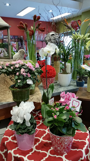 Florist «The Crimson Petal Inc.», reviews and photos, 160 Needham St, Newton, MA 02464, USA