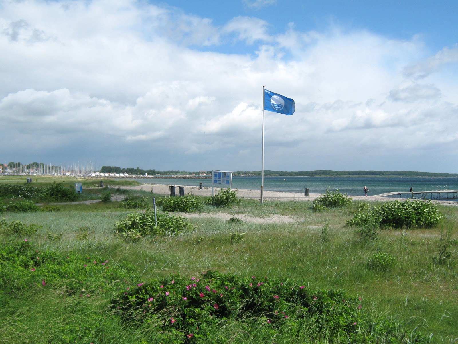 Photo de Kerteminde Beach - endroit populaire parmi les connaisseurs de la détente