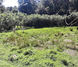 Laguna del cochi photo