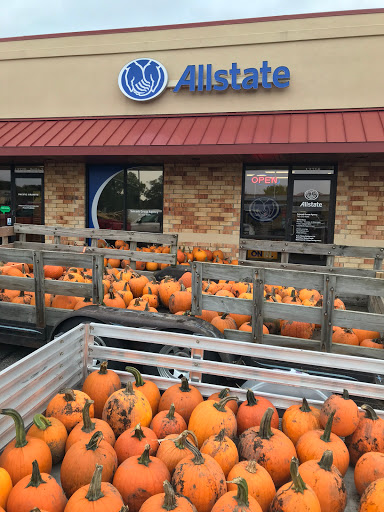Insurance Agency «Allstate Insurance Agent: Sniezek Group Agency», reviews and photos