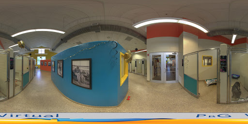 Animal Protection Organization «Charleston Animal Society», reviews and photos