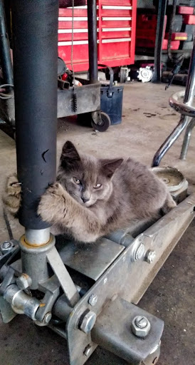 Auto Repair Shop «MB Resources LLC», reviews and photos, 499 Hwy 53, Dawsonville, GA 30534, USA