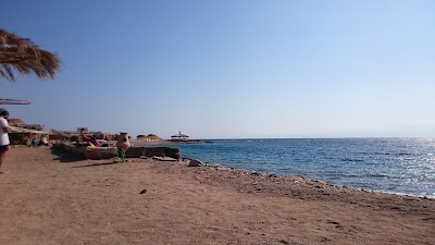 Photos of Meditation Village
