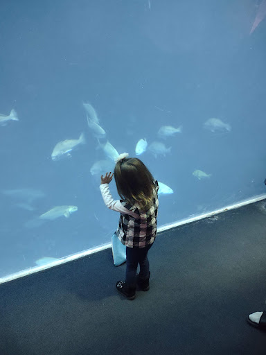 Parking Garage «SC Aquarium Garage», reviews and photos, 24 Calhoun St, Charleston, SC 29401, USA