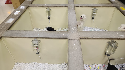 Pet Store «The Pet Shop», reviews and photos, 1988 MacArthur Rd, Whitehall, PA 18052, USA