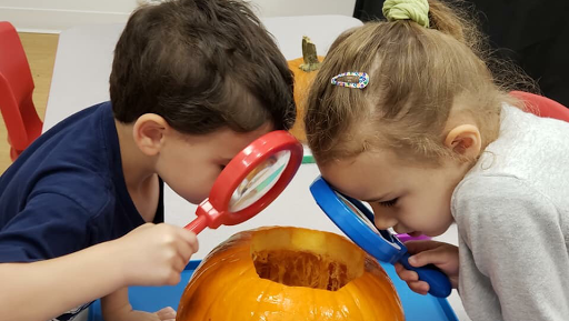 Toy Store «Learning Express», reviews and photos, 168 Great Rd F, Bedford, MA 01730, USA