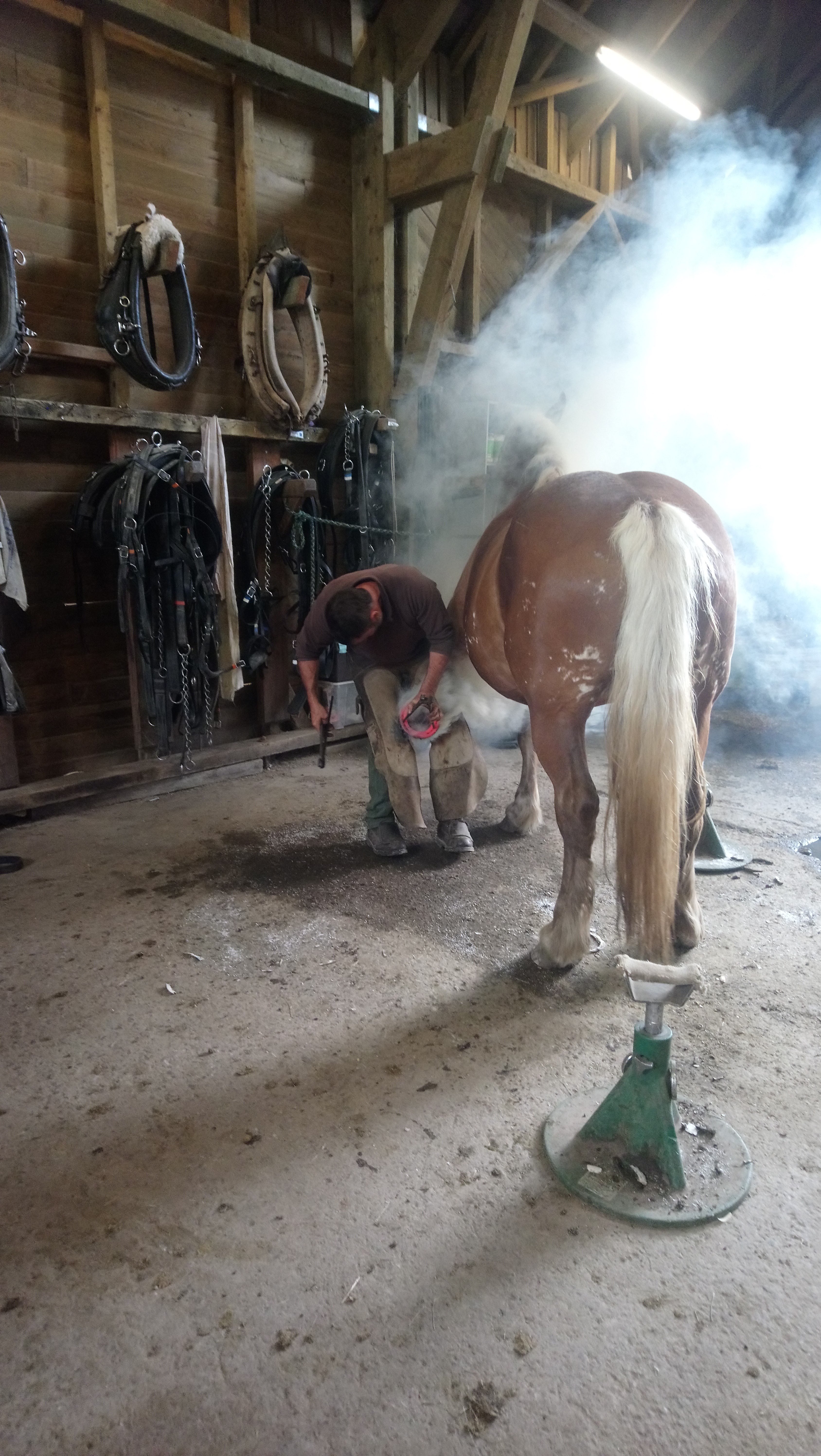 Photo n° 2 de l'avis de Christelle.i fait le 16/07/2019 à 08:11