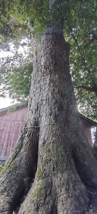 春日神社