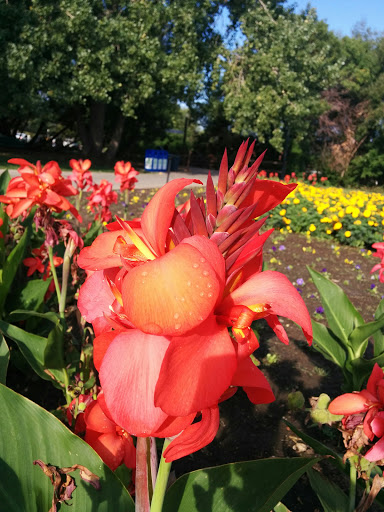 Memorial Park «E.B. Rains Jr. Memorial Park», reviews and photos, 11701 Community Center Dr, Northglenn, CO 80233, USA