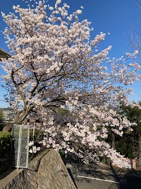 もみじヶ丘第二公園