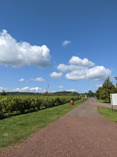 Winery «Hopewell Valley Vineyards», reviews and photos, 46 Yard Rd, Pennington, NJ 08534, USA