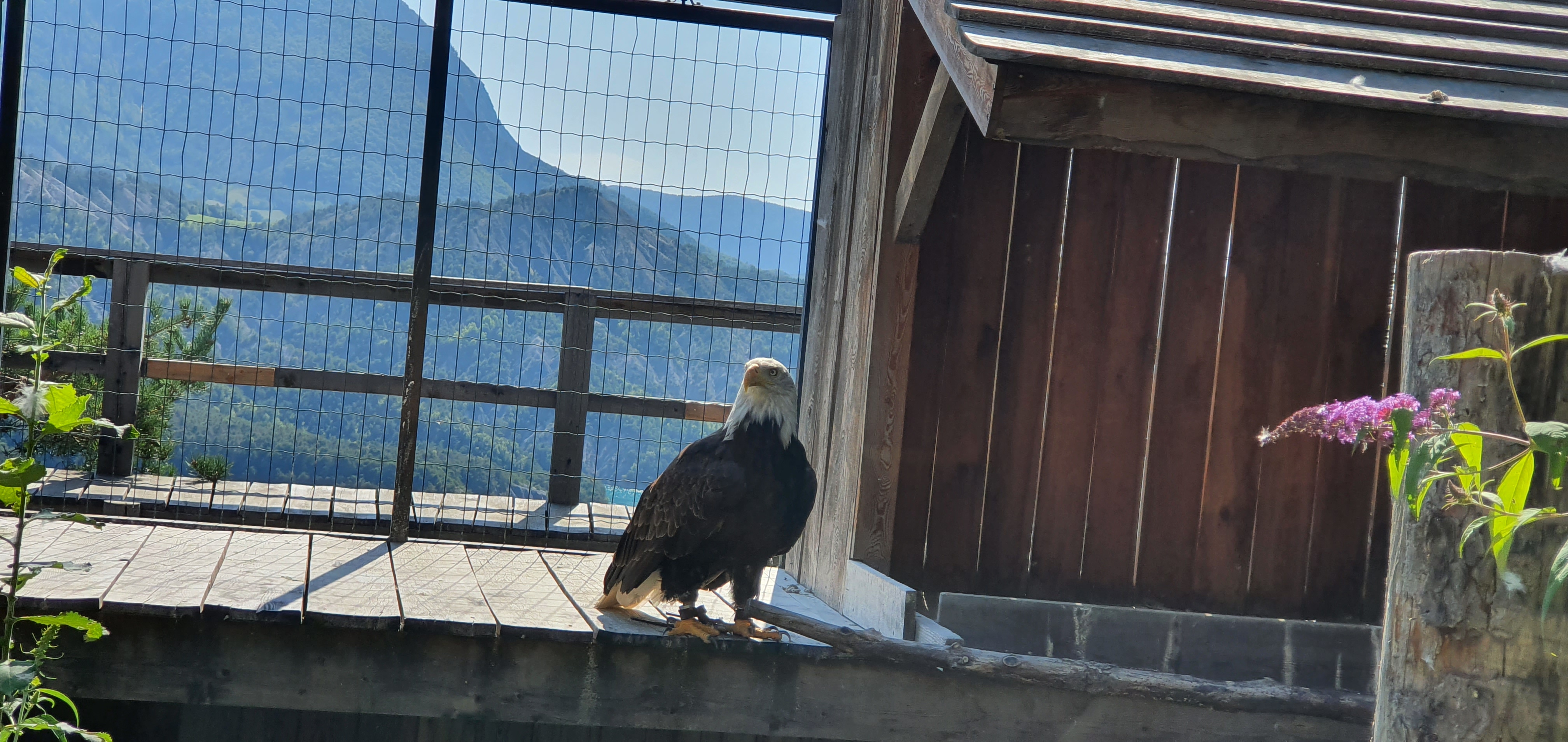 Photo n° 8 de l'avis de Alain.R fait le 30/08/2021 à 21:58