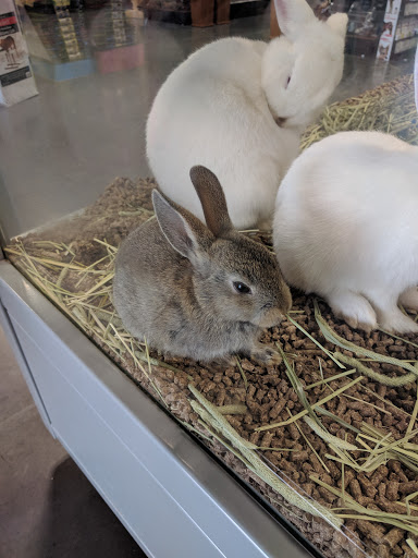 Pet Groomer «We Lov Pets», reviews and photos, 3853 Northpointe Dr, Zanesville, OH 43701, USA