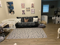 Dori’s Doggie Domain - Photo 1 - Car repair in , Deltona