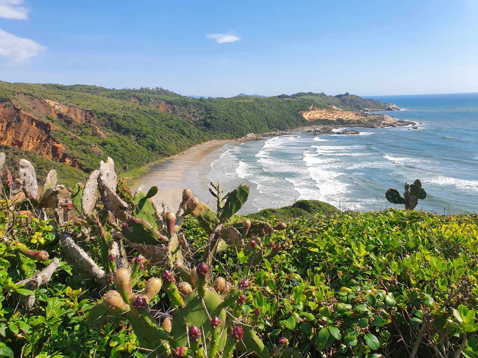 Praia D'agua的照片 带有碧绿色纯水表面