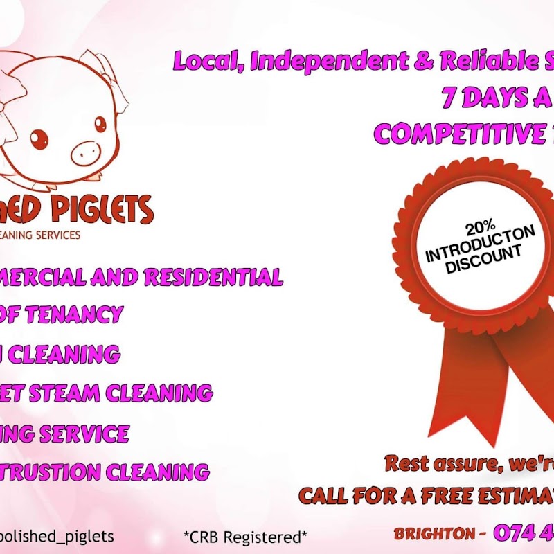Polished piglets cleaning service