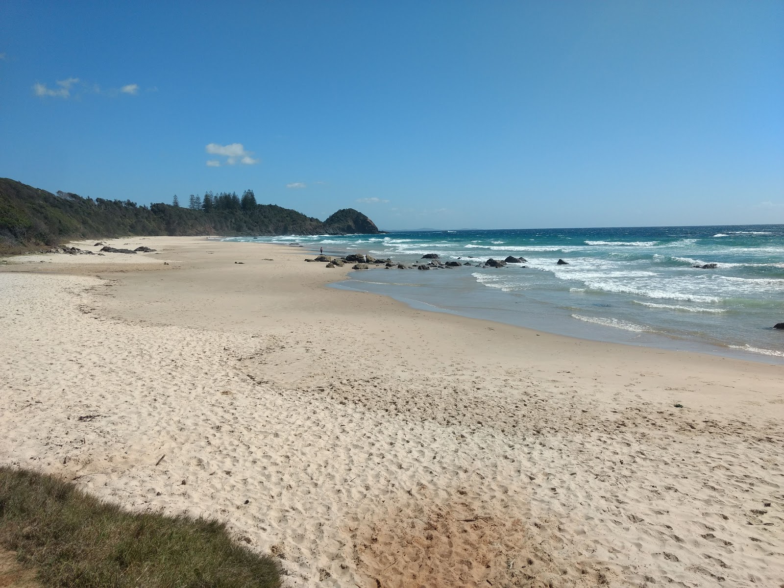 Zdjęcie Shelly Beach z poziomem czystości wysoki