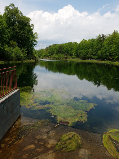 Park «Sherando Park Pool», reviews and photos, 150 Park Dr, Stephens City, VA 22655, USA