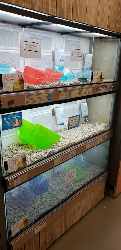 Pet Supply Store «Petco Animal Supplies», reviews and photos, 226 Thornton Drive, Dickson, TN 37055, USA